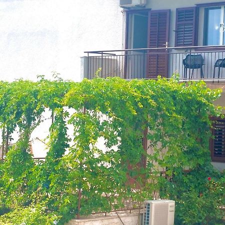 Apartment Fila - Large & Close To The Beach Makarska Exteriör bild
